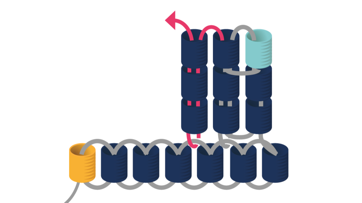 Boucles d'Oreilles Miyuki triangulaires en Triple Brick Stitch : Etape 7