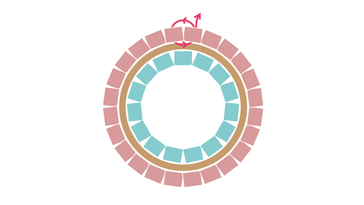 Collier Miyuki avec pendentif rond en Brick Stitch : Etape 7