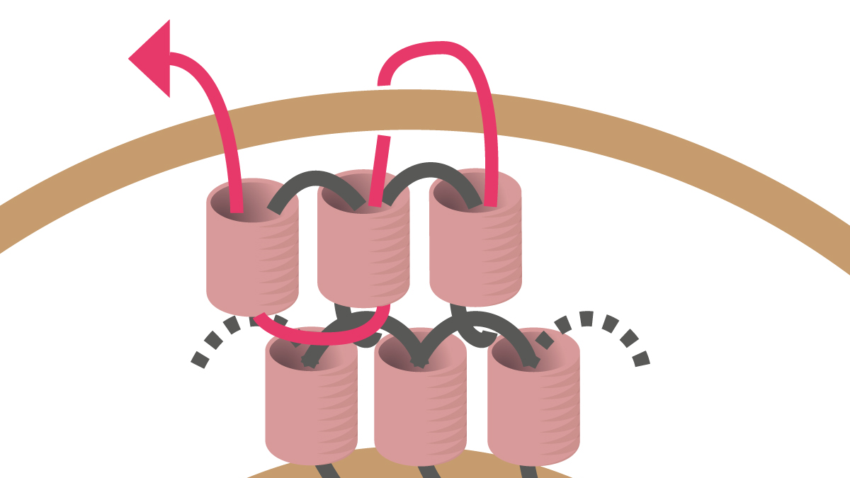 Collier Miyuki avec pendentif rond en Brick Stitch : Etape 9