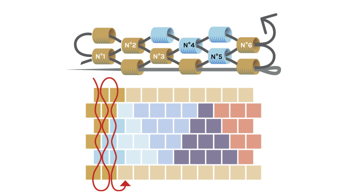 Bracelet triangle avec perles Miyuki 11/0 en peyote pair : Etape 5