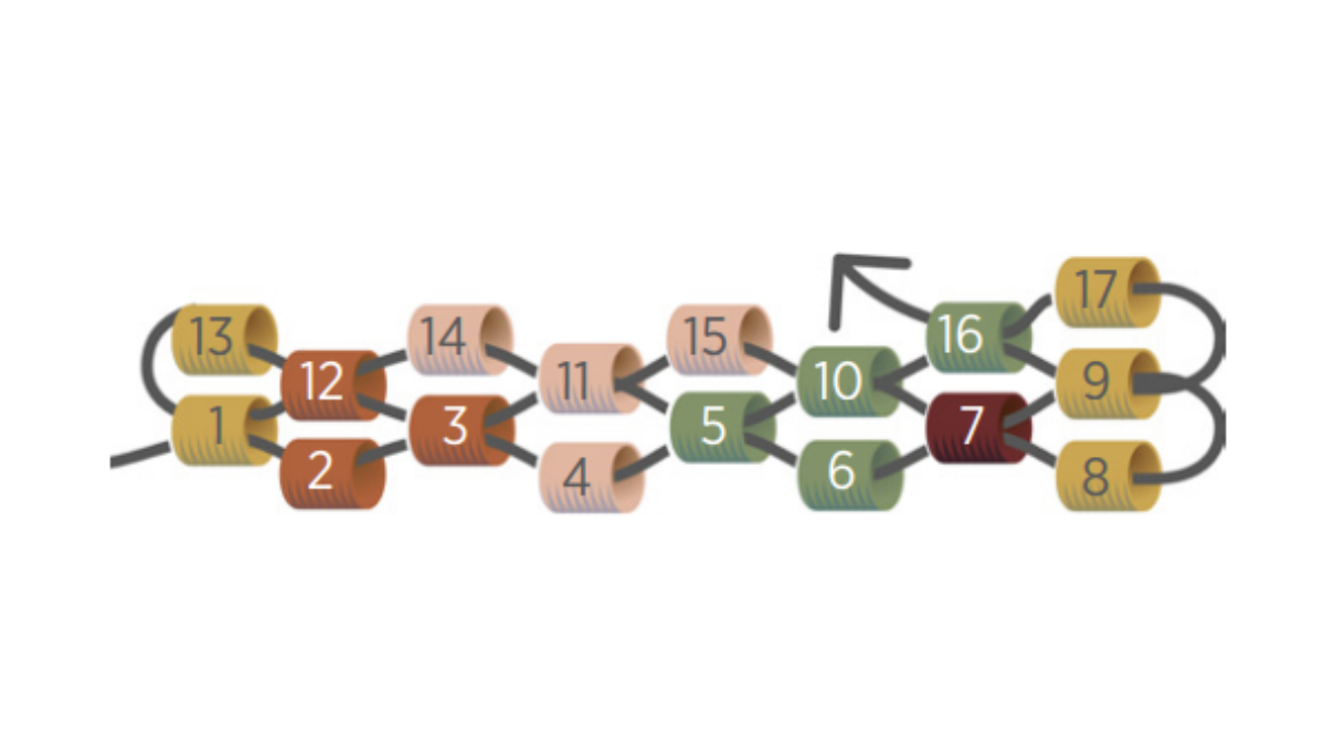 Bague en Peyote Pair avec Miyuki 11/0 : Etape 6