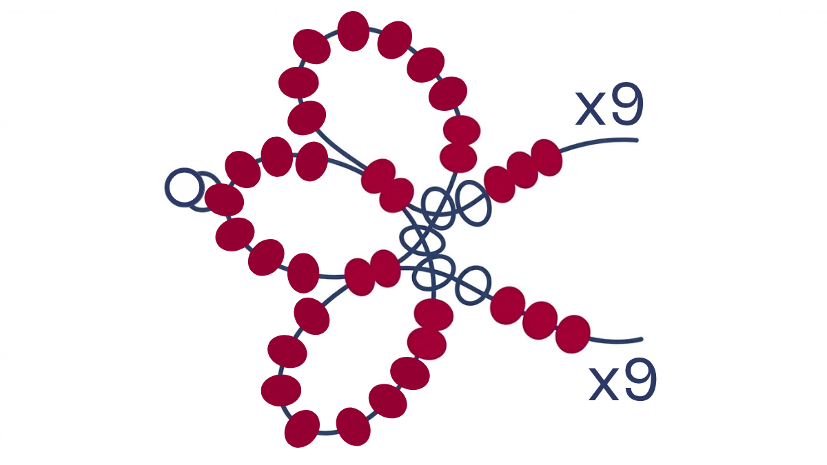 Collier fleurs en perles rocailles Miyuki 6/0 : Etape 6