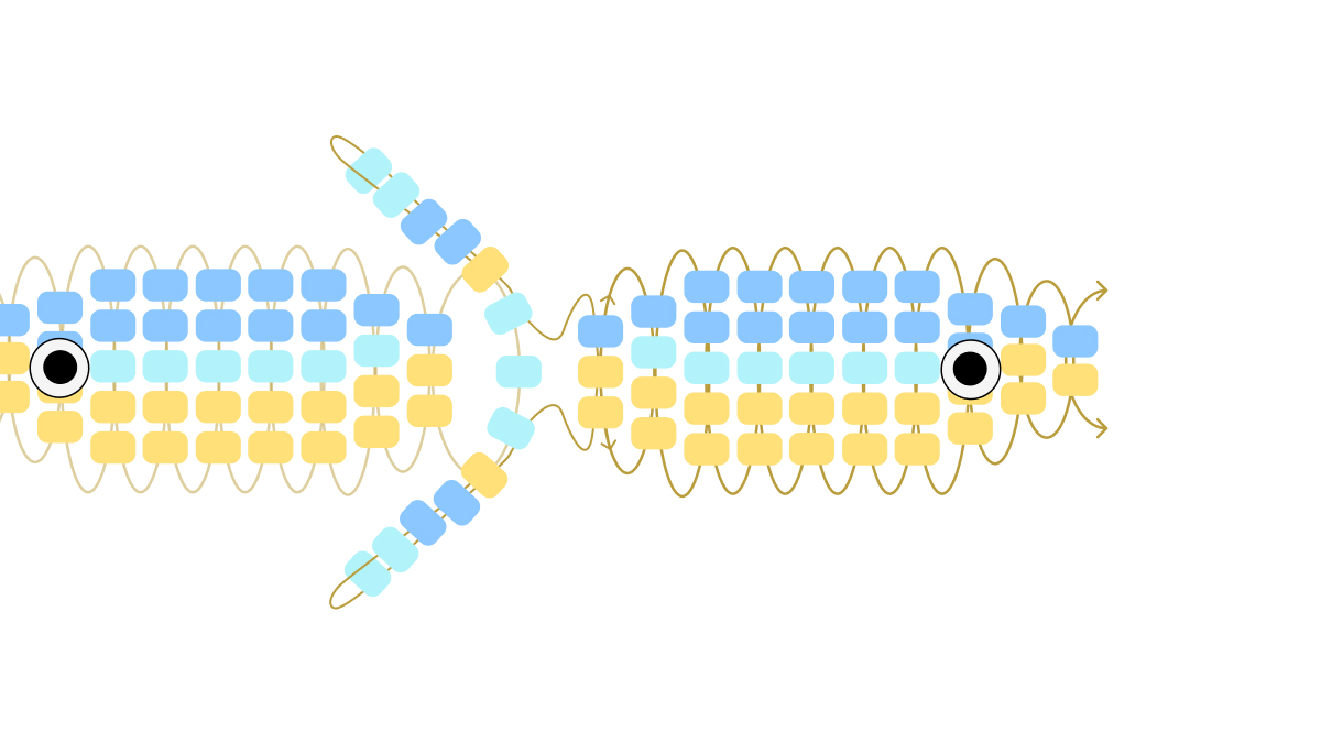 Porte clés poisson en perles de rocailles : Etape 5