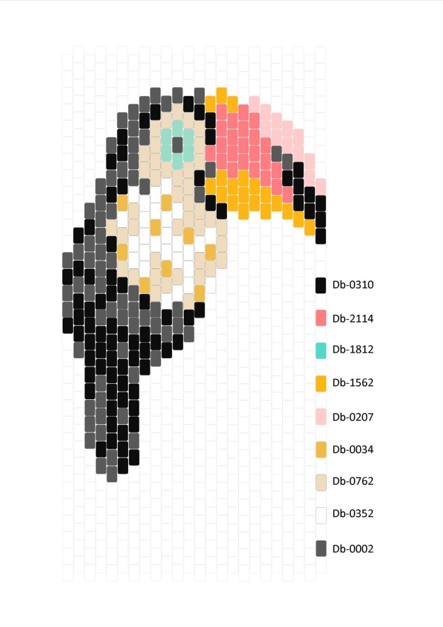 Schéma Broche Toucan en brickstitch par Mon Petit Bazar