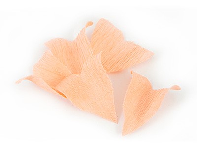 Couronne de Fleurs en Papier Crépon Buis Lierre : Etape 4