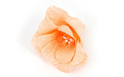 Couronne de Fleurs en Papier Crépon Buis Lierre : Etape 7