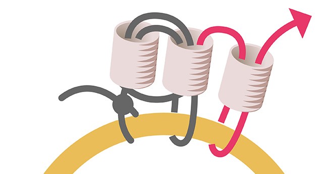 DIY Boucles d'oreilles Fleurs en Nacre perles Miyuki et PureCrystal : Etape 3